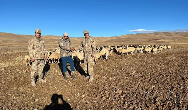 Kaybolan hayvanlar jandarma tarafından bulundu