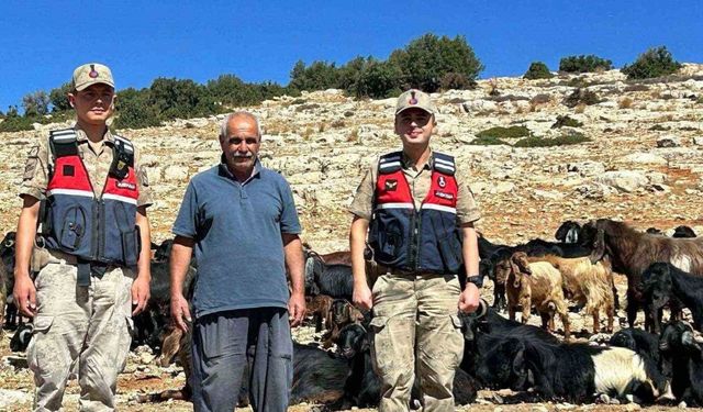 Kilis’te kaybolan 100 küçükbaş hayvan bulundu