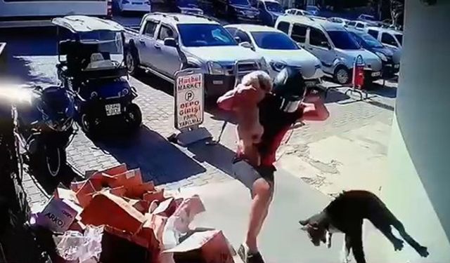 Köpeğiyle kavga eden kediyi tekmeyle metrelerce havaya fırlattı