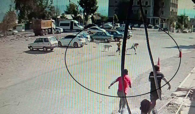 Köpeklerden kaçarken yere yığılan çocukların yardımına vatandaşlar yetişti