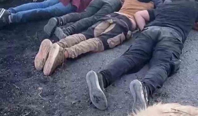Koyun sürüsüne çarpan insan kaçakçısı, aracı ve göçmenleri bırakıp kaçtı