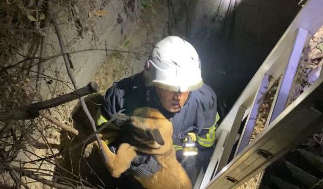 Kuyuya düşen köpeği itfaiye kurtardı