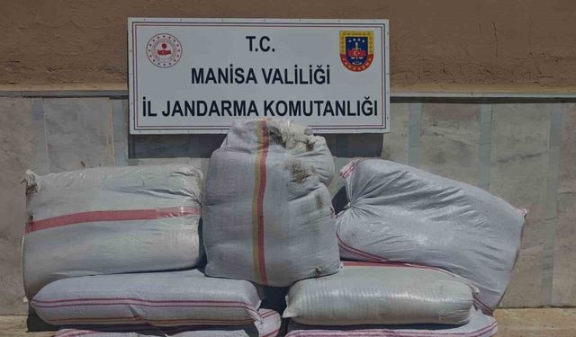 Manisa’da 350 kilo kaçak tütün ele geçirildi