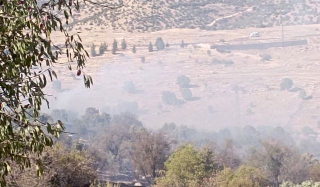 Mardin’de çıkan orman yangını söndürüldü