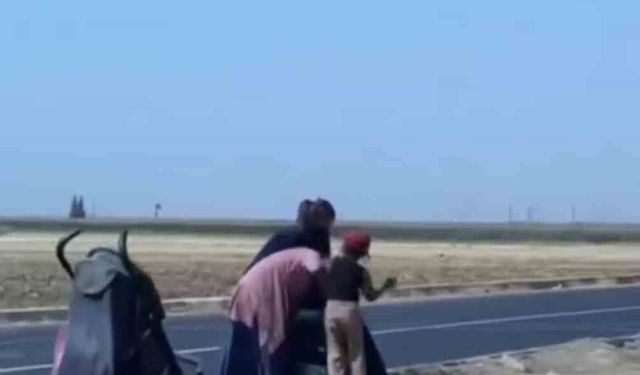 Mardin’de dilenci kadınlar yol ortasında kavga etti