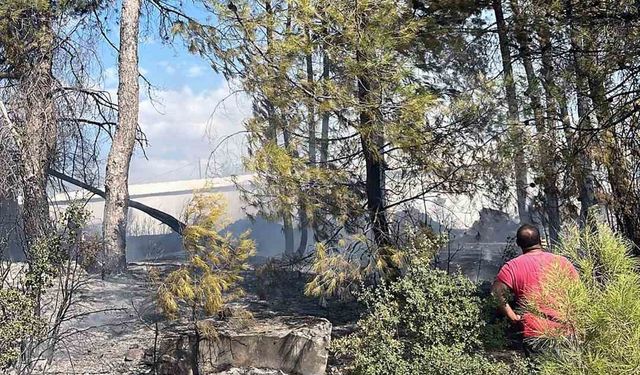Menteşe’deki yangın kısa sürede söndürüldü