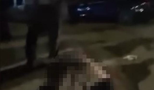 Muş-Bitlis yolunda otomobilin çarptığı yaşlı kadın hayatını kaybetti