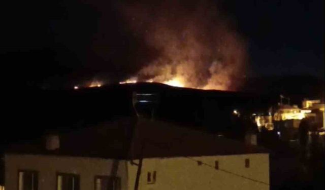 Niğde’de çobanların yaktığı ateş yangına dönüştü