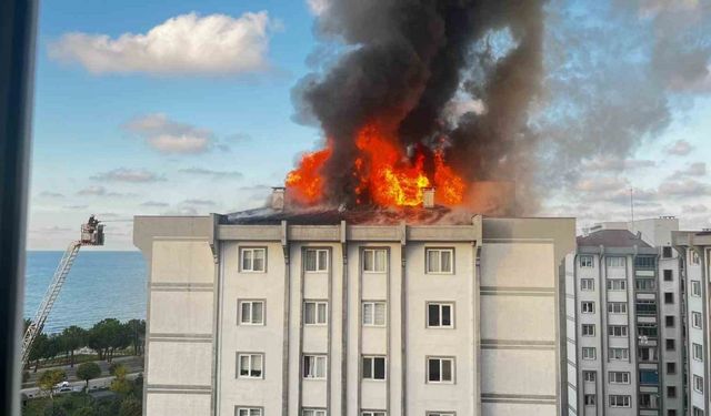 Ordu’da 7 katlı binanın çatısı alev alev yandı