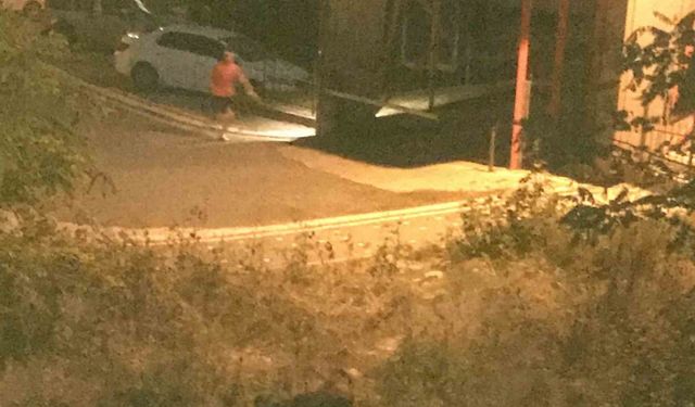 Ordu’da bir çocuk, domuz saldırısından son anda kurtuldu