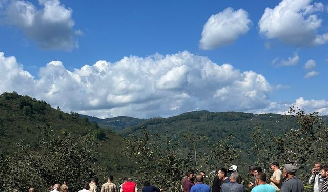 Ordu’da patpat ölüm makinesine dönüştü: Son bir ayda 6 can kaybı