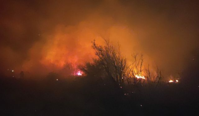 Osmaniye’de makilik yangını söndürüldü