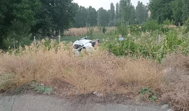 Otomobil mısır ekili araziye devrildi: 2 yaralı