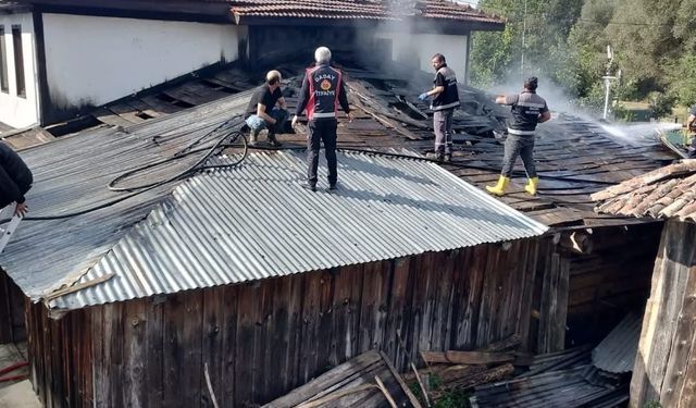 Samanlıkta çıkan yangın konağı küle çeviriyordu