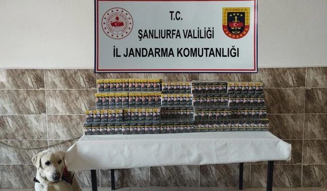 Şanlıurfa’da 420 paket gümrük kaçağı sigara ele geçirildi