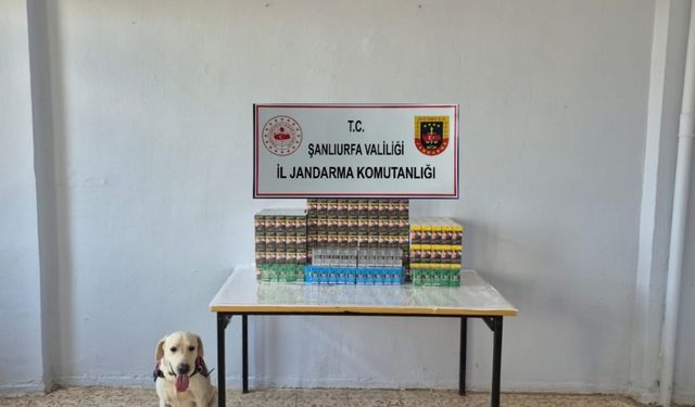Şanlıurfa’da 7 bin 777 paket gümrük kaçağı sigara ele geçirildi