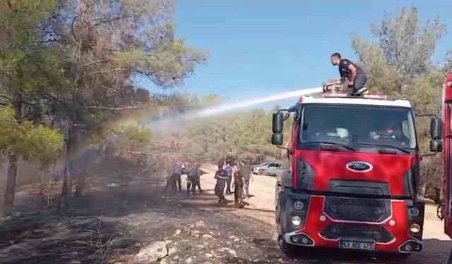 Şanlıurfa’da orman yangını