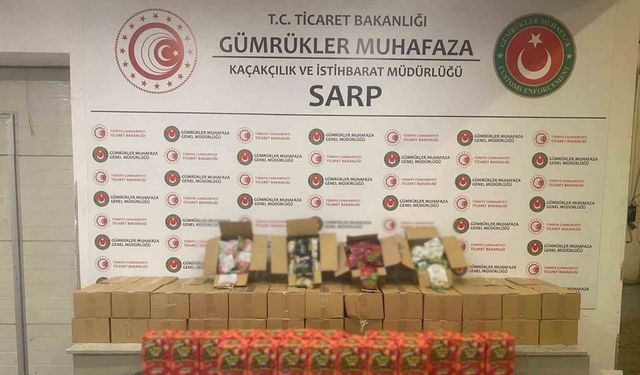 Sarp Gümrük Kapısı ve İstanbul’da 601 kilo uyuşturucu ele geçirildi