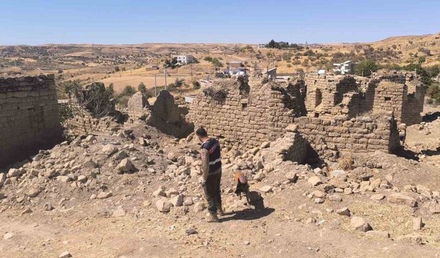 Siirt’te kayıp Alzheimer hastası 9 gündür aranıyor