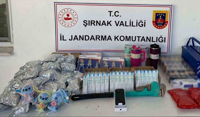 Şırnak’ta jandarma ekipleri 14 milyonluk kaçakçılığı önledi
