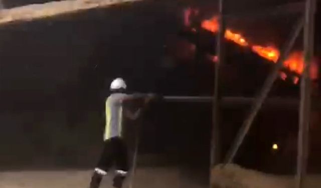 Tarımsal atıklardan enerji üretilen fabrikada çıkan yangın söndürüldü