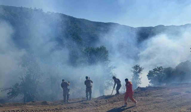 Tunceli’de kırsal alanda çıkan yangın söndürüldü: Soğutma çalışmaları sürüyor