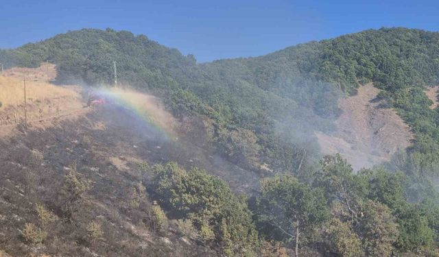 Tunceli’de kırsal alanda yangın: Havadan ve karadan müdahale sürüyor