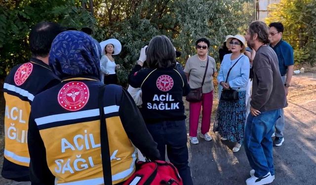 Turistleri taşıyan midibüse tır çarptı: 5 turist yaralı
