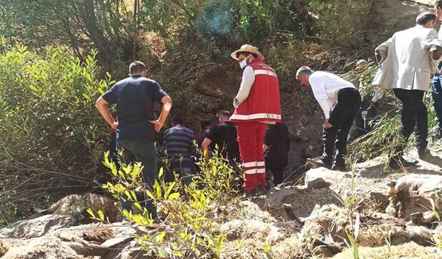 Van’da 334 koyun uçurumdan düşerek telef oldu