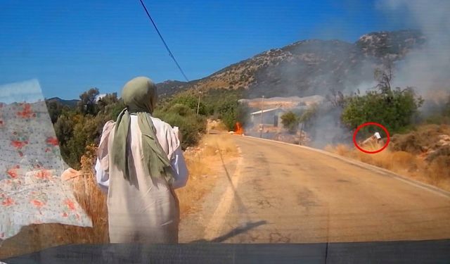 Yol kenarındaki yangını gören tatilci aile alevlere yangın tüpüyle müdahale etti
