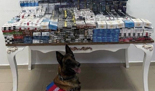 Yol kontrolünde 3 bin 606 paket kaçak sigara ele geçirildi