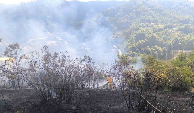 Zonguldak’ta 2 dekarlık alanda örtü yangını
