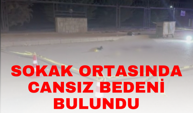 22 yaşındaki genç, sokak ortasında vurulmuş halde bulundu