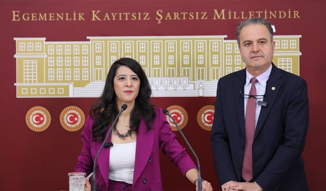 EMEP “Aile Yılı” baskılarını sordu!