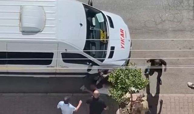 Adana’da bıçaklama anı saniye saniye görüntülendi