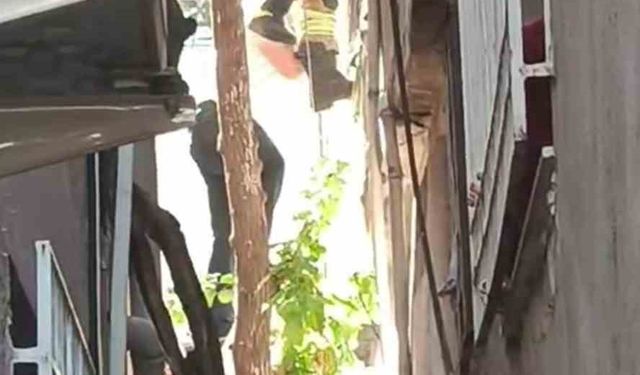 Ağaçta asılı kalan şahsı itfaiye kurtardı