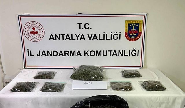 Alanya’da uyuşturucu operasyonu: 800 gram uyuşturucu ele geçirildi