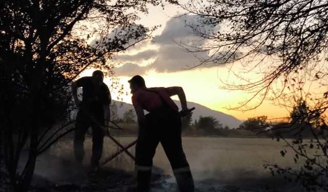 Anız yangını itfaiyenin müdahalesiyle söndürüldü