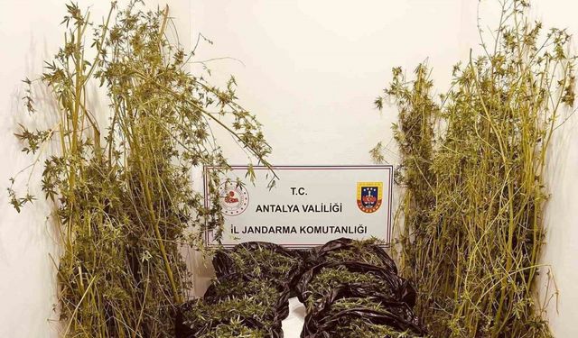 Antalya’da 53 kilo uyuşturucu ele geçirildi