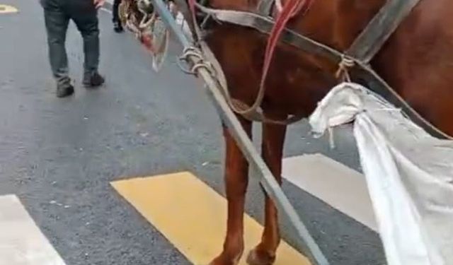 At arabasına 993 lira hatalı park cezası