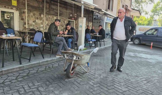 Bartın’ın maskotu öldü