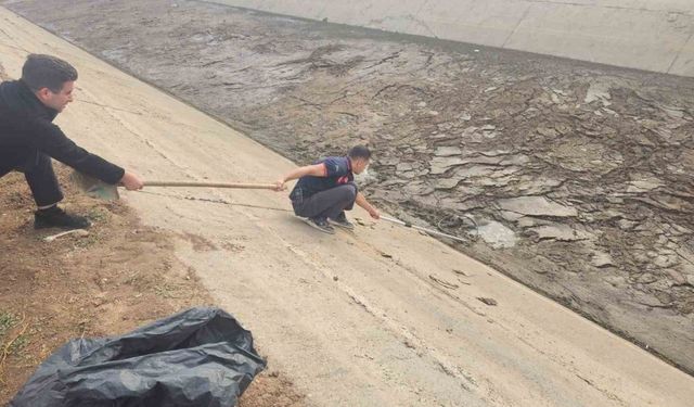 Batman’da kanala düşen köpek, itfaiye ekiplerince kurtarıldı