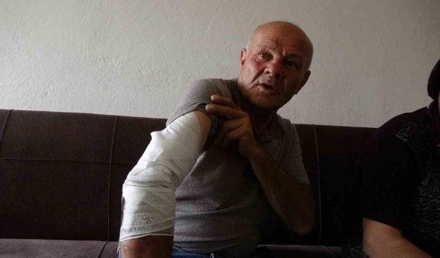 Beslemek istediği köpek saldırdı, koluna 10’dan fazla dikiş atıldı