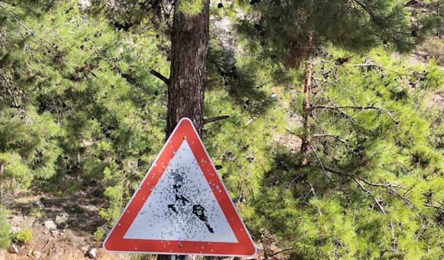 Bozyazı yayla yolunda trafik levhalarına kurşunlu saldırı