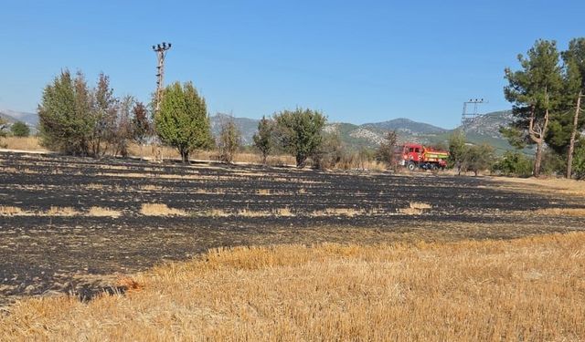 Bucak’ta arazide çıkan yangın itfaiye ekiplerince söndürüldü