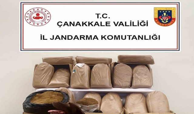 Çanakkale’de kaçakçılık operasyonu