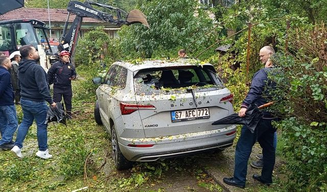 Çaycuma’da park halindeki otomobilin üzerine ağaç devrildi