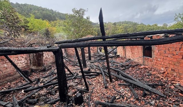 Çorum’da yanan ahırdaki 30 küçükbaş hayvan telef oldu
