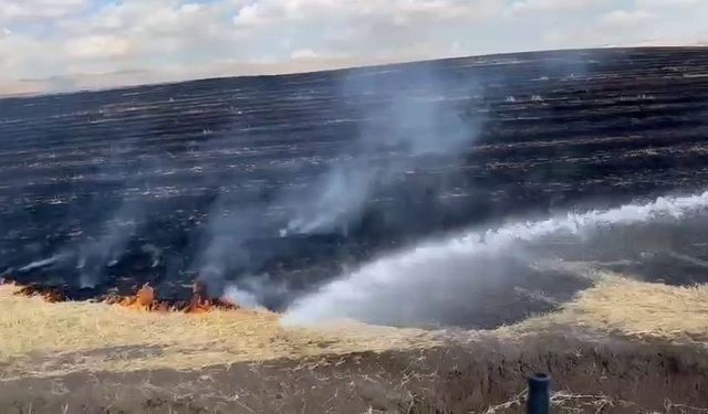 Diyarbakır’da anız yangını