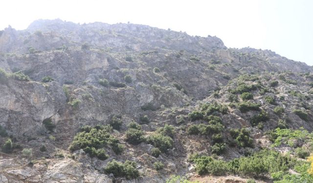 Doğa gezisine çıktı, ’En tepeye çıktım, mükemmel bir manzara var’ dedikten sonra haber alınamadı